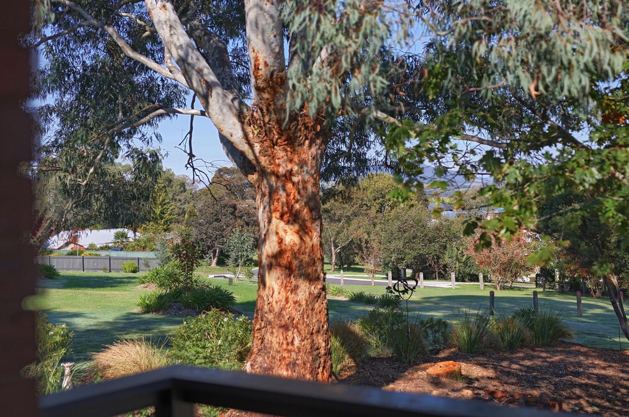 Yarra Gables Motel ฮีลส์วิลล์ ภายนอก รูปภาพ